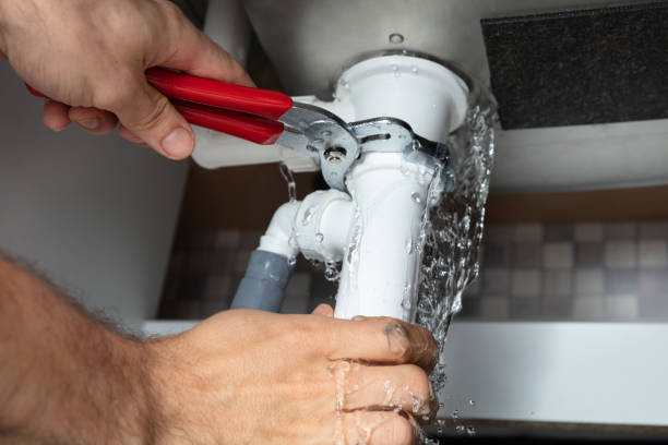 Best Water damage contractors near me  in Cherry Grove, OH