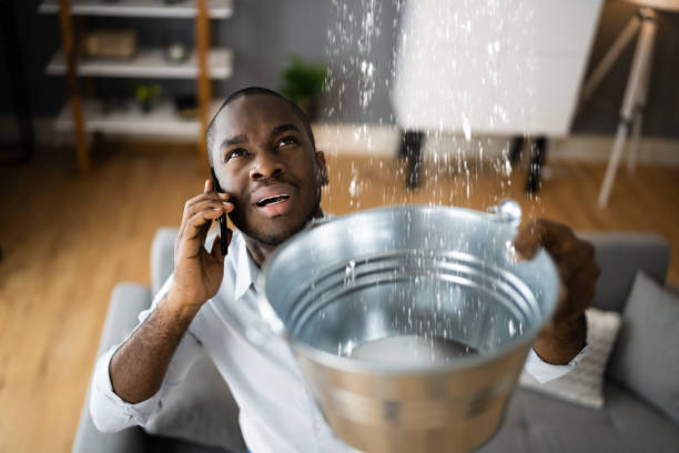 Best Water damage restoration mold remediation  in Cherry Grove, OH
