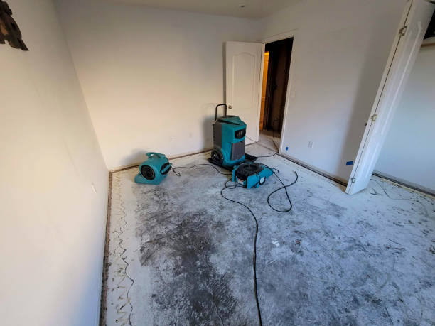 Best Professional water damage repair  in Cherry Grove, OH