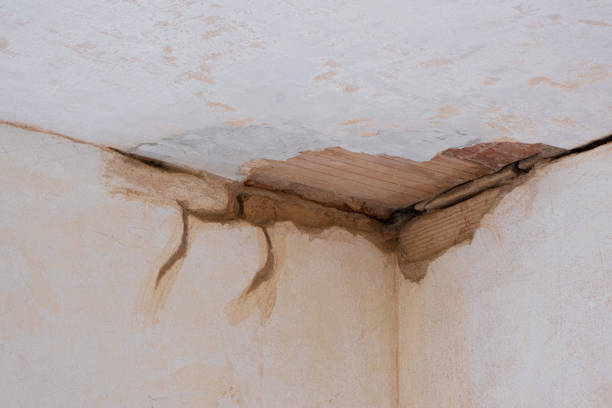 Best Water damage cleanup near me  in Cherry Grove, OH