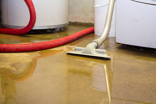 Best 24-hour water damage restoration  in Cherry Grove, OH