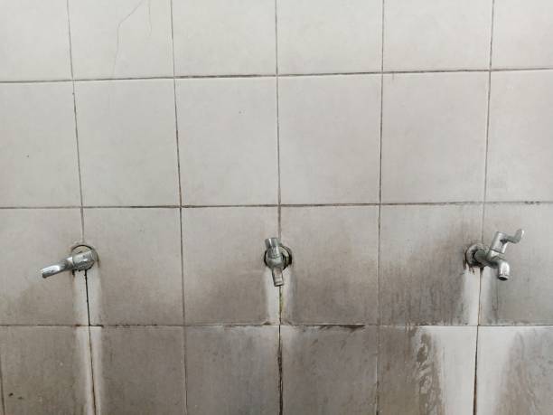 Best Water damage restoration near me  in Cherry Grove, OH
