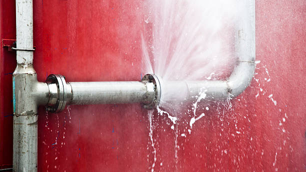 Best 24-hour water damage restoration  in Cherry Grove, OH