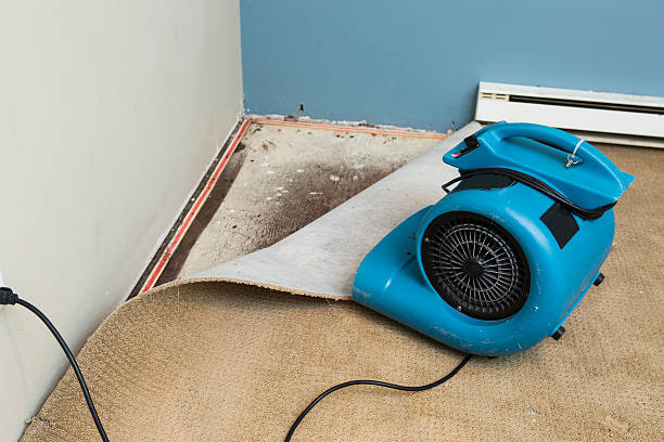 Best Commercial water damage restoration  in Cherry Grove, OH